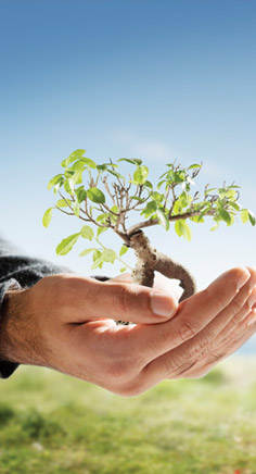 John McKeown - Personal Development